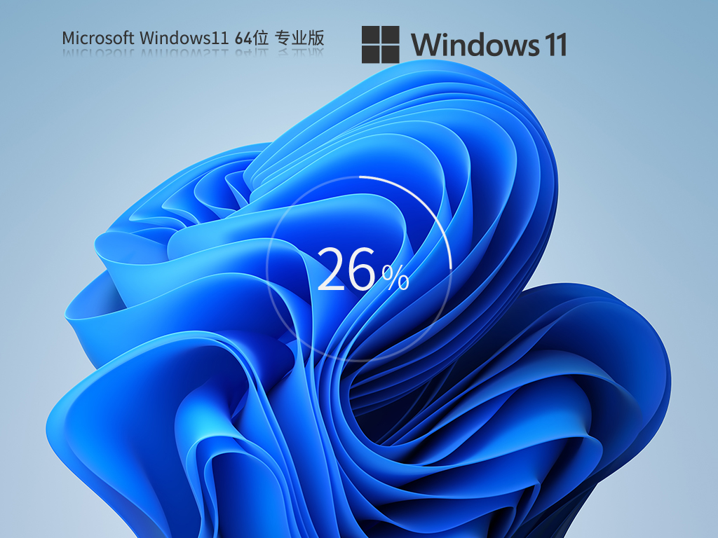 Windows11 22H2 64位 专业正式版