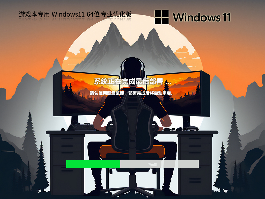 【游戏本专用】 Windows11 64位 专业优化版