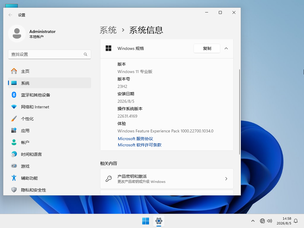 Win11带IE11浏览器专业版下载
